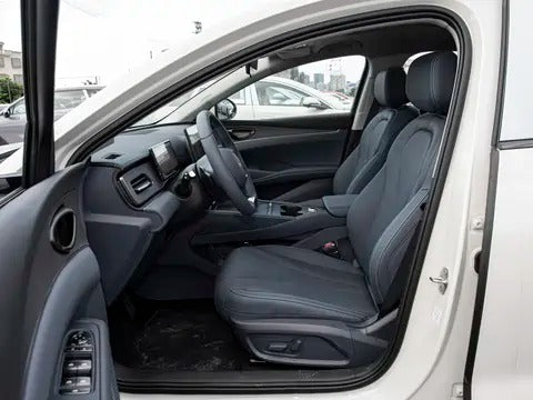 2025 BYD Seal 06 DM-i Wagon 80KM Noble (BYD7150ADHEV6) — Warm Smoke Tea / Deep Black