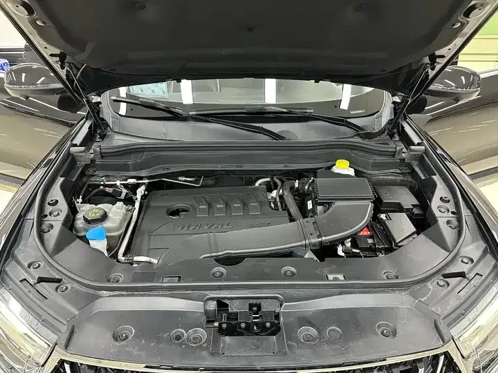 Haval H6 2021 Guochao Edition 1.5T Automatic