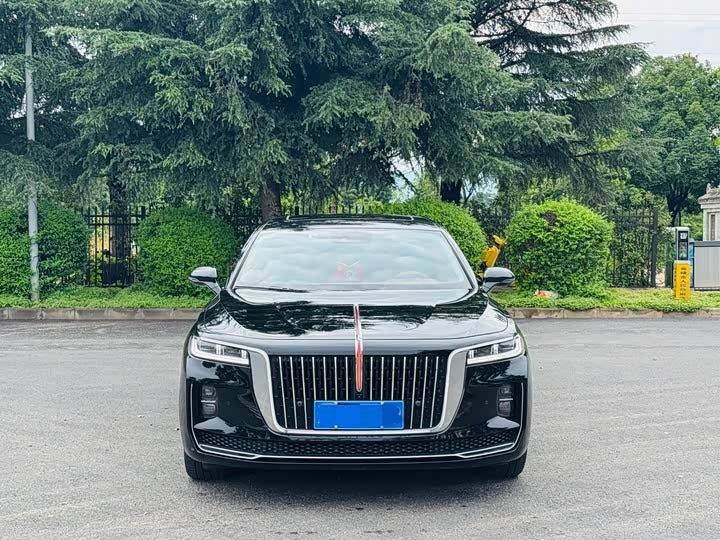 2020 Hongqi H9 2.0T Zhilian Qixiang Edition Luxury Sedan