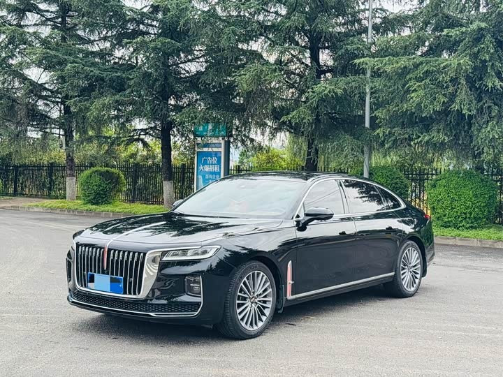 2020 Hongqi H9 2.0T Zhilian Qixiang Edition Luxury Sedan