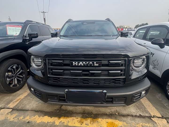 Haval Big Dog 2026 1.5T DCT Border Pasture Edition