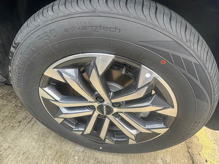 Haval Big Dog 2026 1.5T DCT Border Pasture Edition