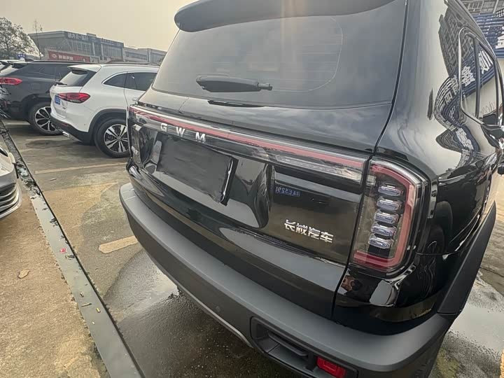 Haval Big Dog 2026 1.5T DCT Border Pasture Edition