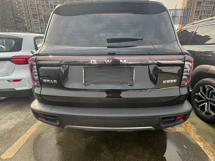 Haval Big Dog 2026 1.5T DCT Border Pasture Edition