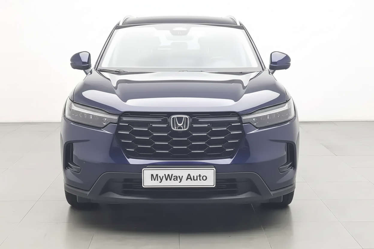MyWay Auto 车牌效果图
